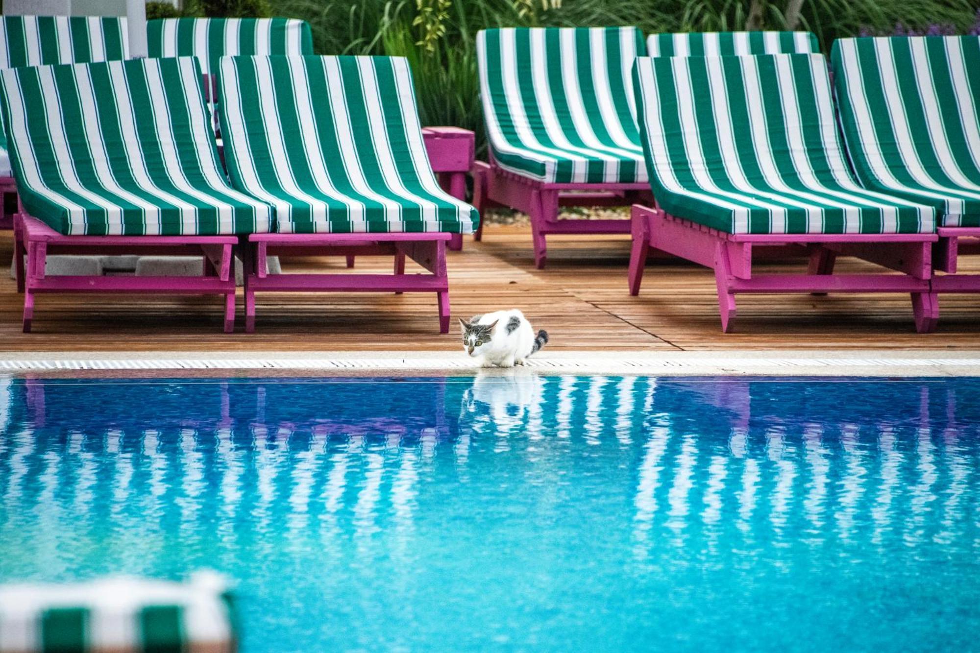 Ibis Styles Venus Hotel Eksteriør billede